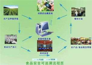 剖析物聯(lián)網(wǎng)能使一人養(yǎng)一萬頭豬 是真需求還是偽痛點的車聯(lián)網(wǎng)科技思考